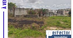 PARCELLE DE TERRAIN DE 450 M² EN VENTE A FEH KESSE ABIDJAN