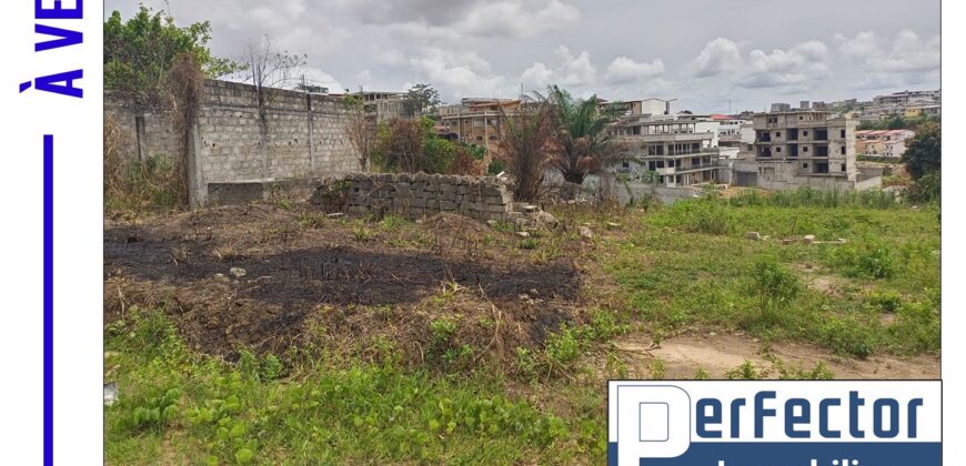 PARCELLE DE TERRAIN DE 450 M² EN VENTE A FEH KESSE ABIDJAN