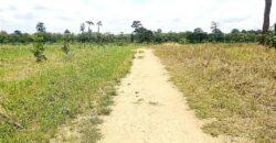 Terrain 3 hectares en vente à Yamoussoukro