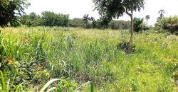 Terrain 3 hectares en vente à Yamoussoukro
