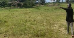 VENTE DE TERRAIN A JACQUEVILLE