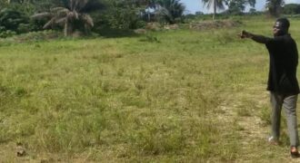 VENTE DE TERRAIN A JACQUEVILLE