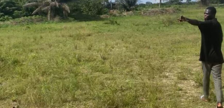 VENTE DE TERRAIN A JACQUEVILLE