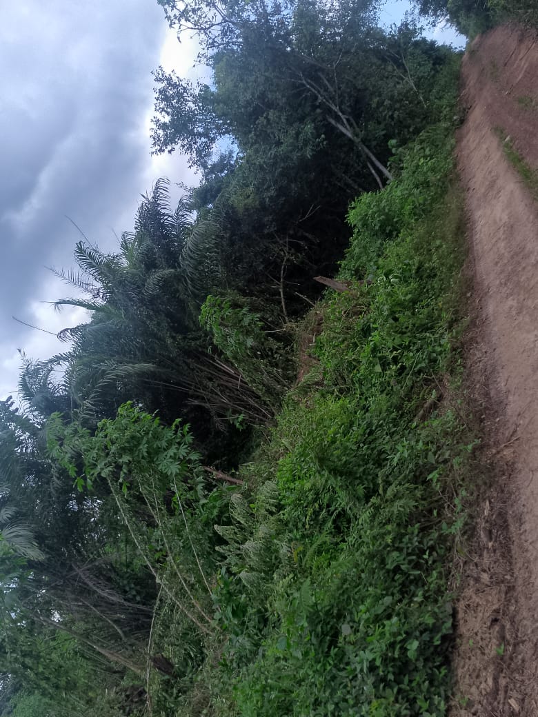 Terrain à vendre à Abidjan