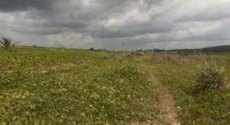 Offre exceptionnelle: terrain à vendre à Agboville (Lagunes)