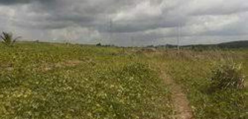 Offre exceptionnelle: terrain à vendre à Agboville (Lagunes)