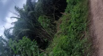 Terrain à vendre à Abidjan