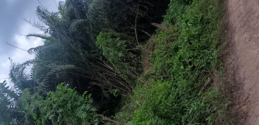 Terrain à vendre à Abidjan