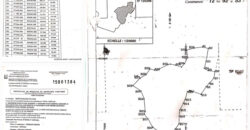 Terrain de 8 hectares derrière le Stade Olympique d&rsquo;Ébimpé