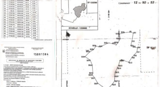 Terrain de 8 hectares derrière le Stade Olympique d&rsquo;Ébimpé
