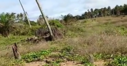 Terrain 1000 m² à vendre – Jacqueville (Avagou)