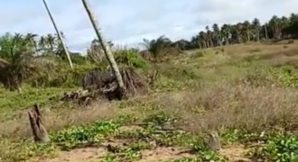 Terrain 1000 m² à vendre – Jacqueville (Avagou)