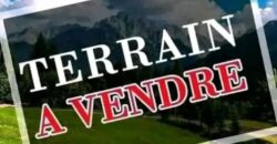 Terrain de 1250 m² à vendre – Le Plateau, Abidjan