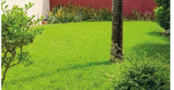 Villa basse 4 pièces à vendre – 2 Plateaux Les Versants, Cocody