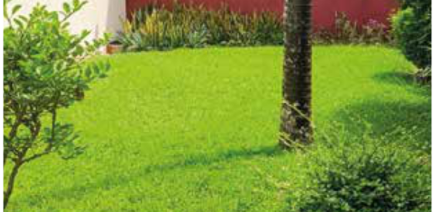 Villa basse 4 pièces à vendre – 2 Plateaux Les Versants, Cocody