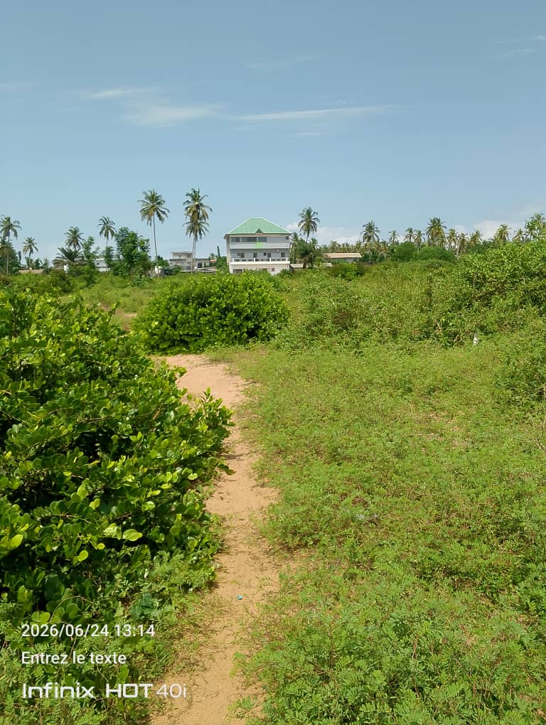 Terrain 2 hectares (20.000 m²) à vendre – Mondoukou, Grand-Bassam
