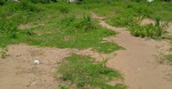 Terrain 2 hectares (20.000 m²) à vendre – Mondoukou, Grand-Bassam