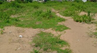 Terrain 2 hectares (20.000 m²) à vendre – Mondoukou, Grand-Bassam