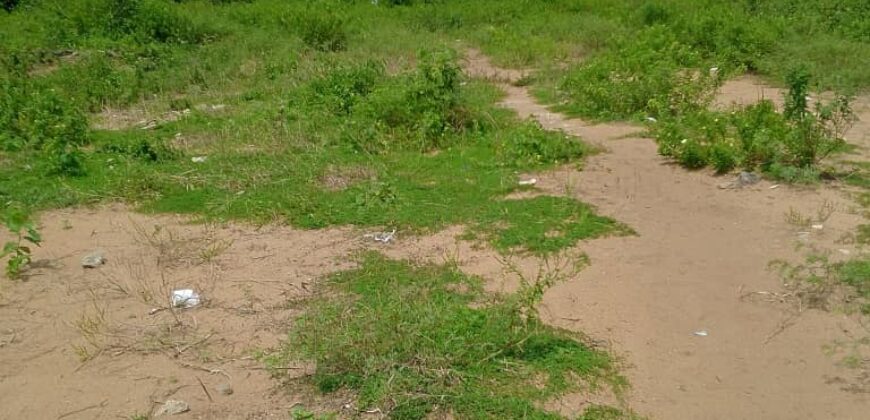 Terrain 2 hectares (20.000 m²) à vendre – Mondoukou, Grand-Bassam