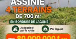 4 terrains de 700 m² à vendre – Assinie Mafia, bord de lagune (ACD)