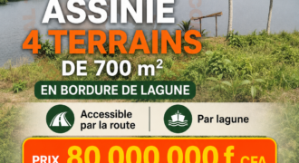 4 terrains de 700 m² à vendre – Assinie Mafia, bord de lagune (ACD)