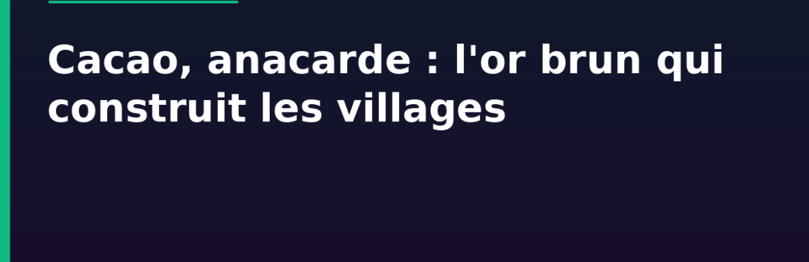 Cacao et anacarde : comment les revenus agricoles financent la construction en zone rurale ivoirienne
