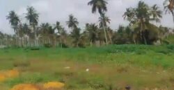 Terrain 30 ha ACD à vendre – Bonoua, Grand-Bassam
