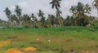 Terrain 30 ha ACD à vendre – Bonoua, Grand-Bassam
