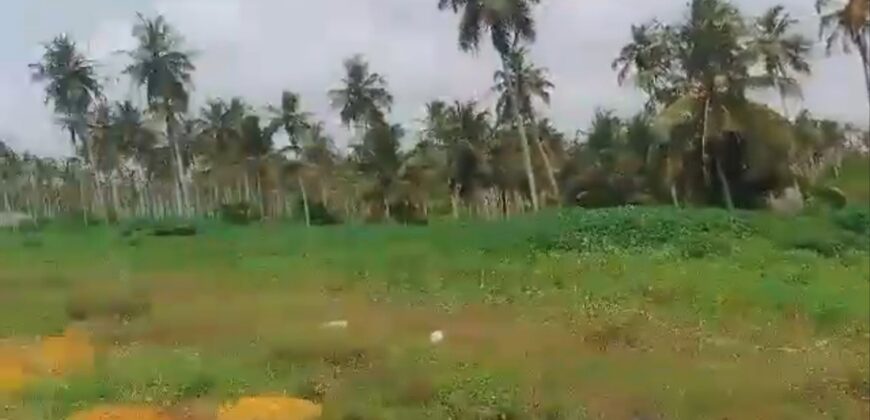 Terrain 30 ha ACD à vendre – Bonoua, Grand-Bassam