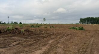 Terrain 400 m² à vendre – Songon, Abidjan