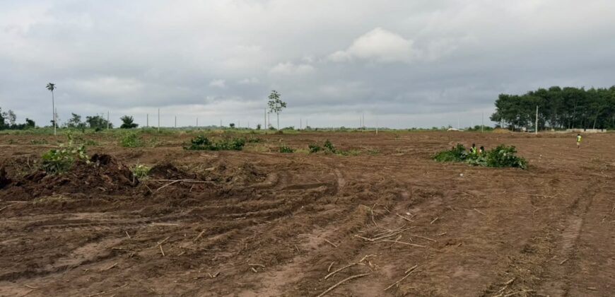 Terrain 400 m² à vendre – Songon, Abidjan