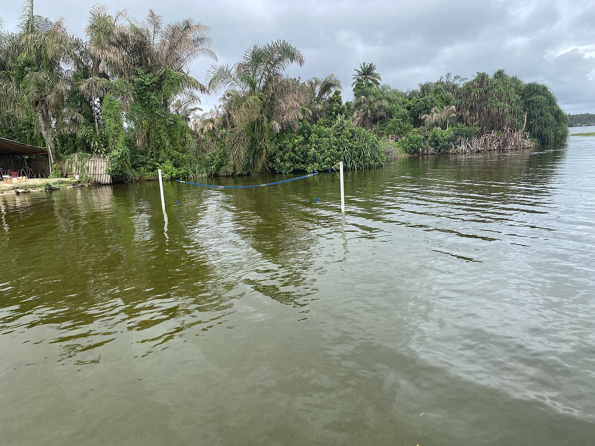 La lagune Ebrié bordée de cocotiers à Jacqueville en 2026